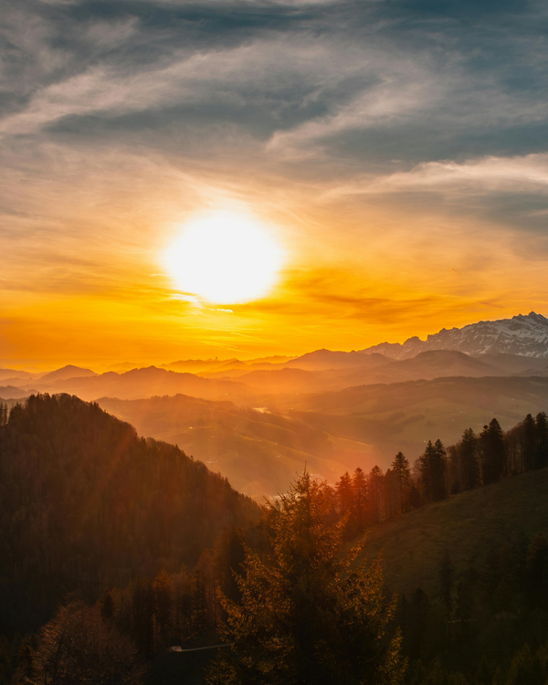 Harz Hotel Voucher - 3, 7 or 14 nights for 2 people in a double room